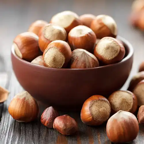 Raw Iranian Hazelnut Kernels