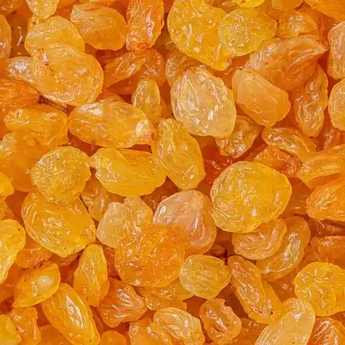 Premium Iranian Golden Raisins – Naturally Processed for Superior Quality