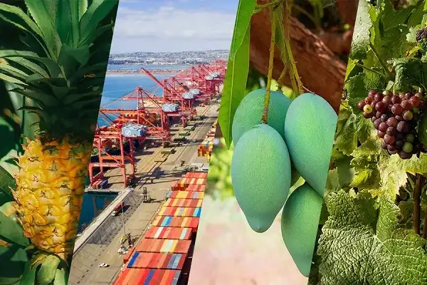 Hayat Foods – Trusted Global Supplier of Agricultural Products