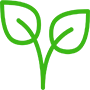 icon1
